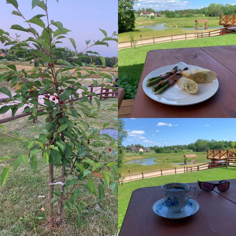 Holiday home Nasze Zacisze Osiedle Kaszubska Ostoja *